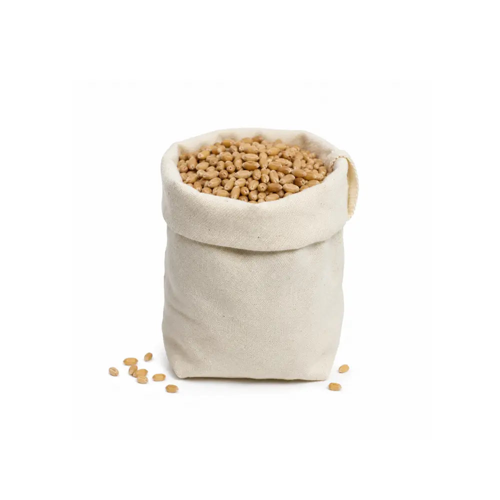 Craft Wheat Berries for Natural Filler, Sensory Play, and Sprouting Lessons