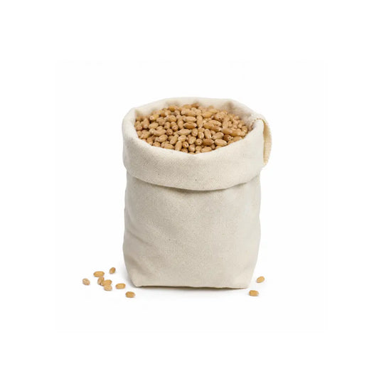 Craft Wheat Berries for Natural Filler, Sensory Play, and Sprouting Lessons