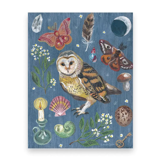 Illustrated postcard with an owl, butterflies, and nature elements on a blue background