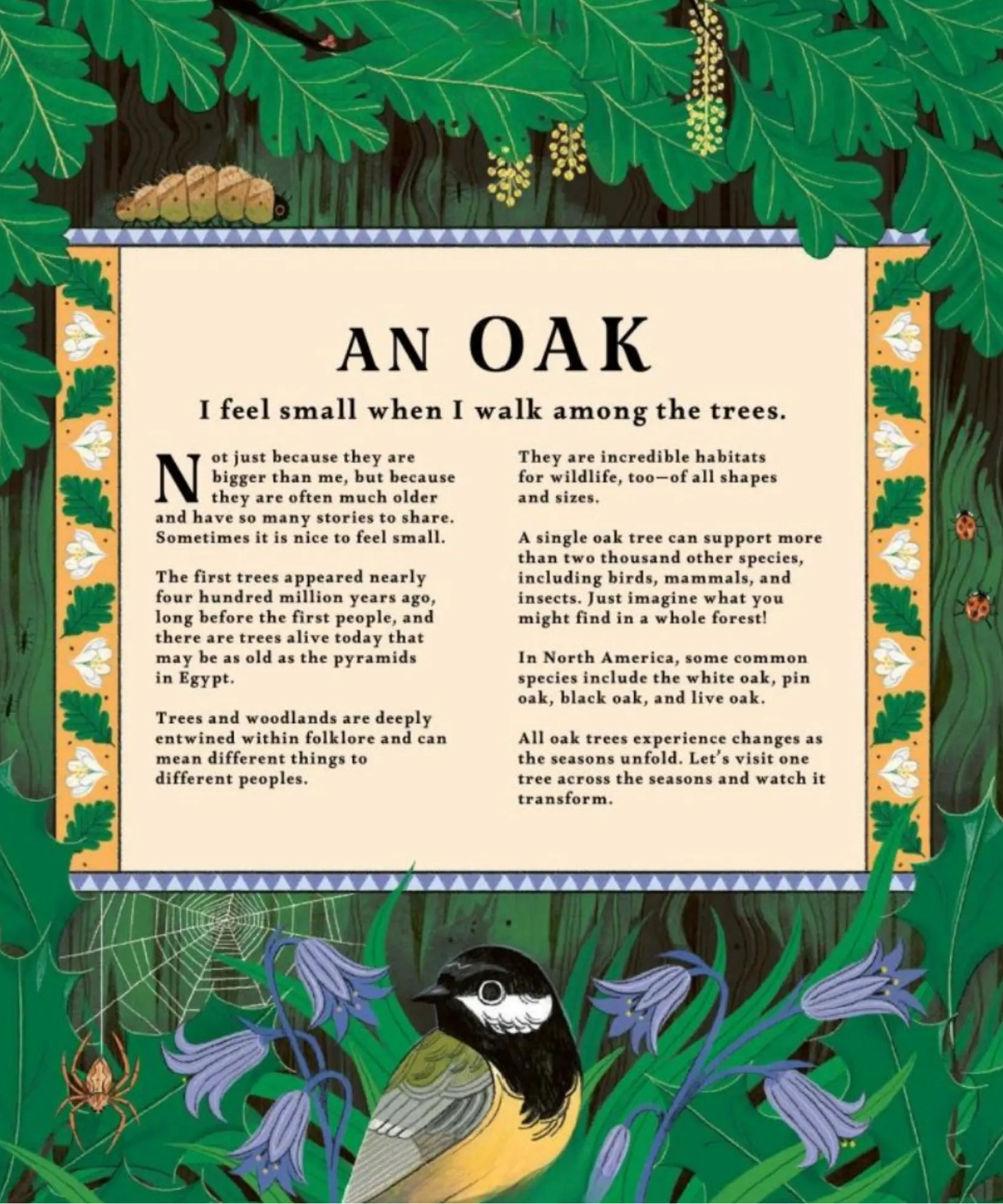 Illustrated oak tree nature study page from Woodlore with woodland birds and wildlife