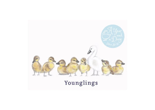 Illustration of a swan with cygnets on a white background, featuring the brand 'After A Day'.