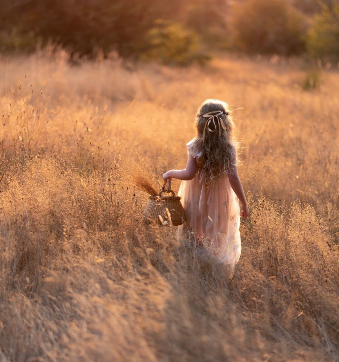 Children’s Kettle Basket | Foraging Basket - Alder & Alouette