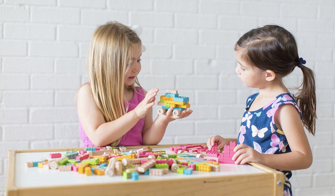 Eco Bricks™ | Wooden Bricks | Construction Toys - Alder & Alouette