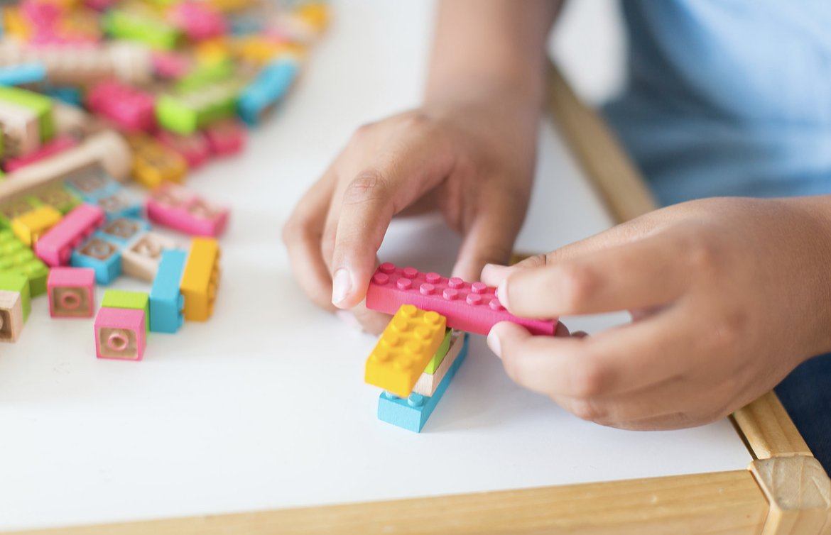 Eco Bricks™ | Wooden Bricks | Construction Toys - Alder & Alouette