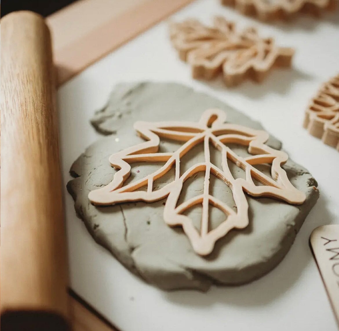 Leaf Cutters for Play Dough, Leaf Set  - Alder & Alouette