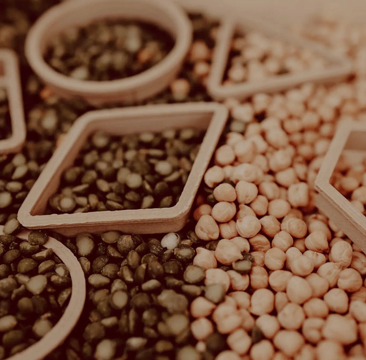 Shape Set Dough Cutters or Stencils - Alder & Alouette