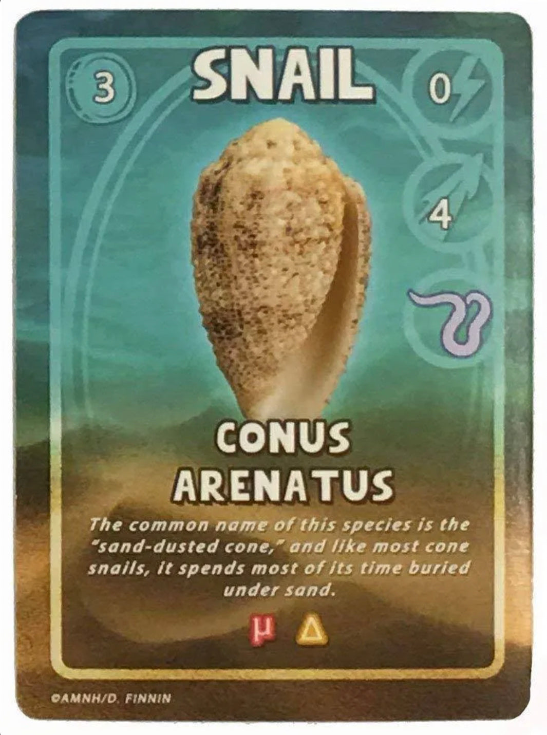 Killer Snails, Assassins of the Sea Science Game - Alder & Alouette