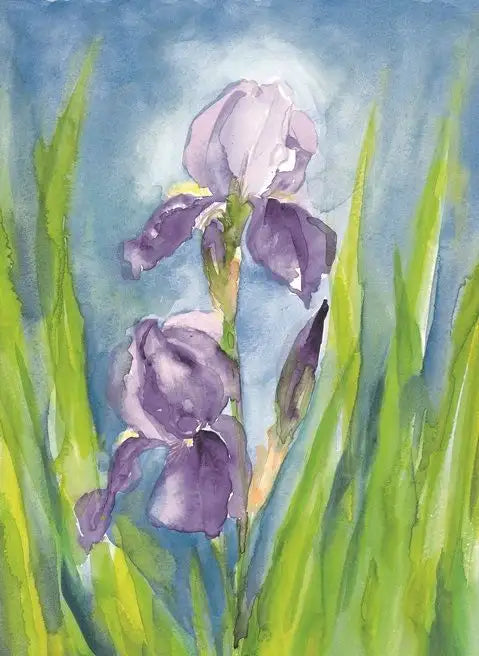 Marjan van Zeyl Floral Card, German Iris - Alder & Alouette