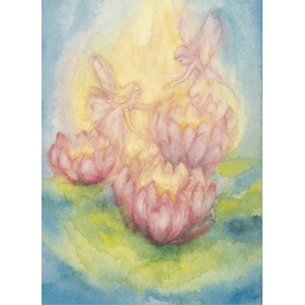 Marjan van Zeyl Postcards, Nymphe Fairies over Lilypads and Flowers - Alder & Alouette