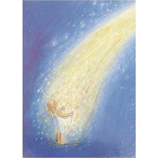 Marjan van Zeyl Postcards, The Star Money - Alder &Alouette