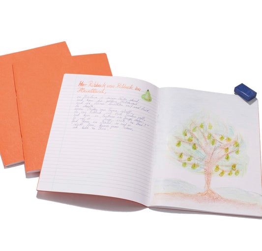 Poetry Composition Book with orange cover open to alternating lined and blank pages for illustrated writing and verse work.