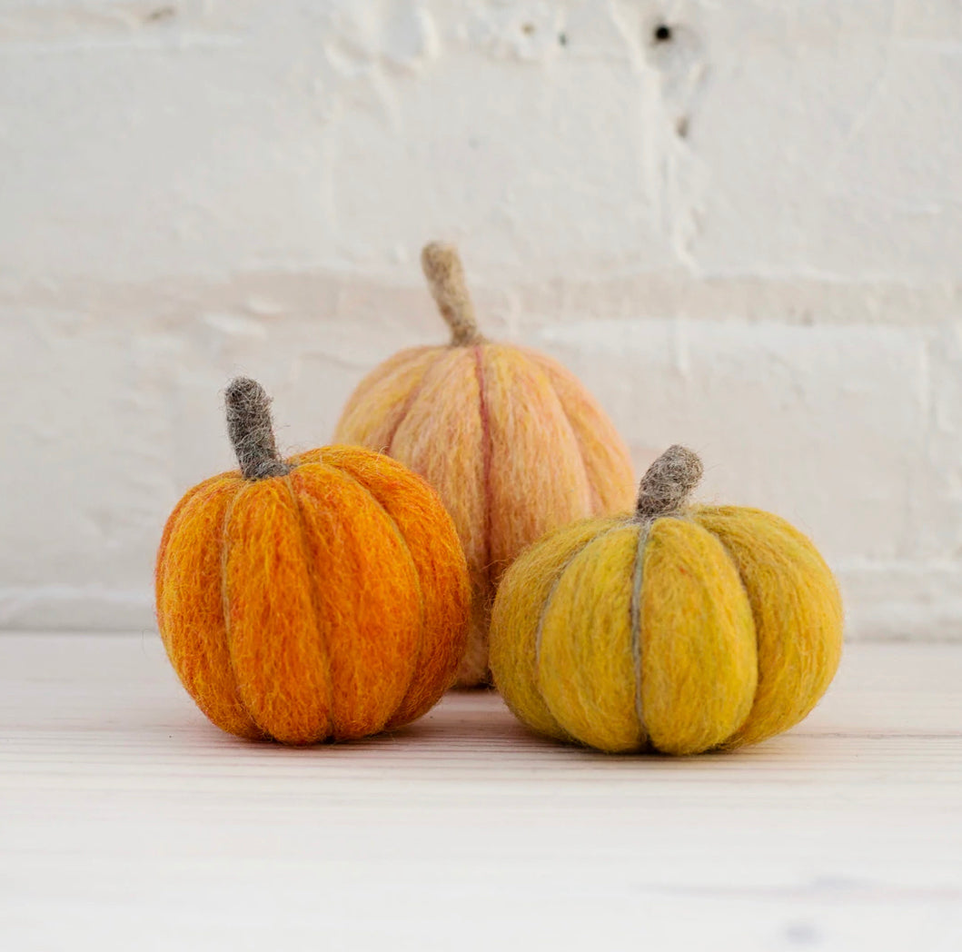 Pumpkins Needle Felting Kit