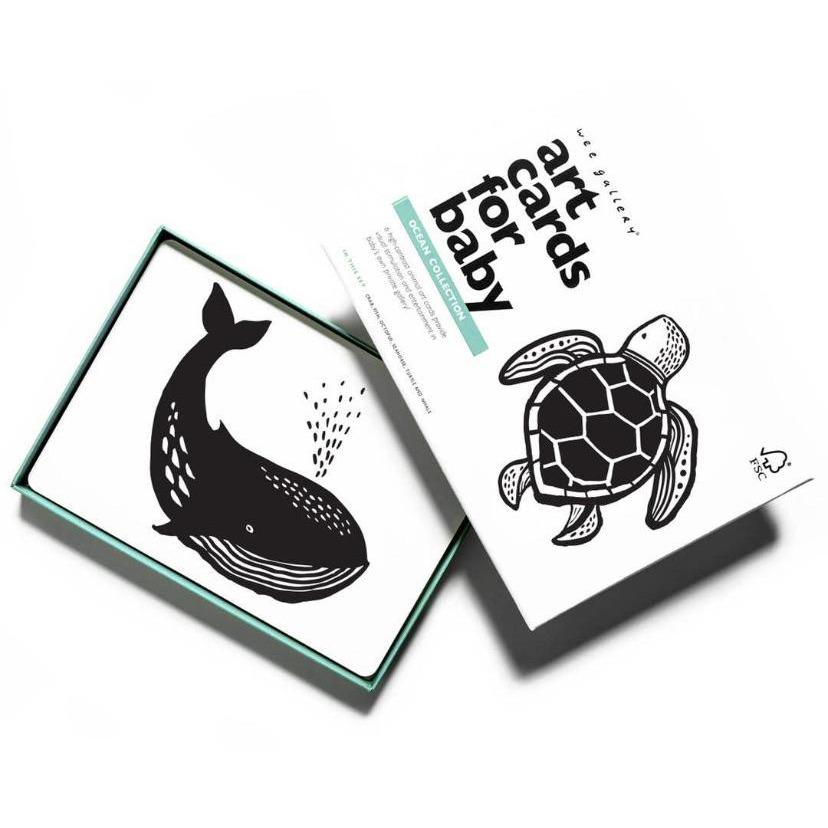 Wee Gallery High Contrast Cards for Babies, Ocean - Alder & Alouette