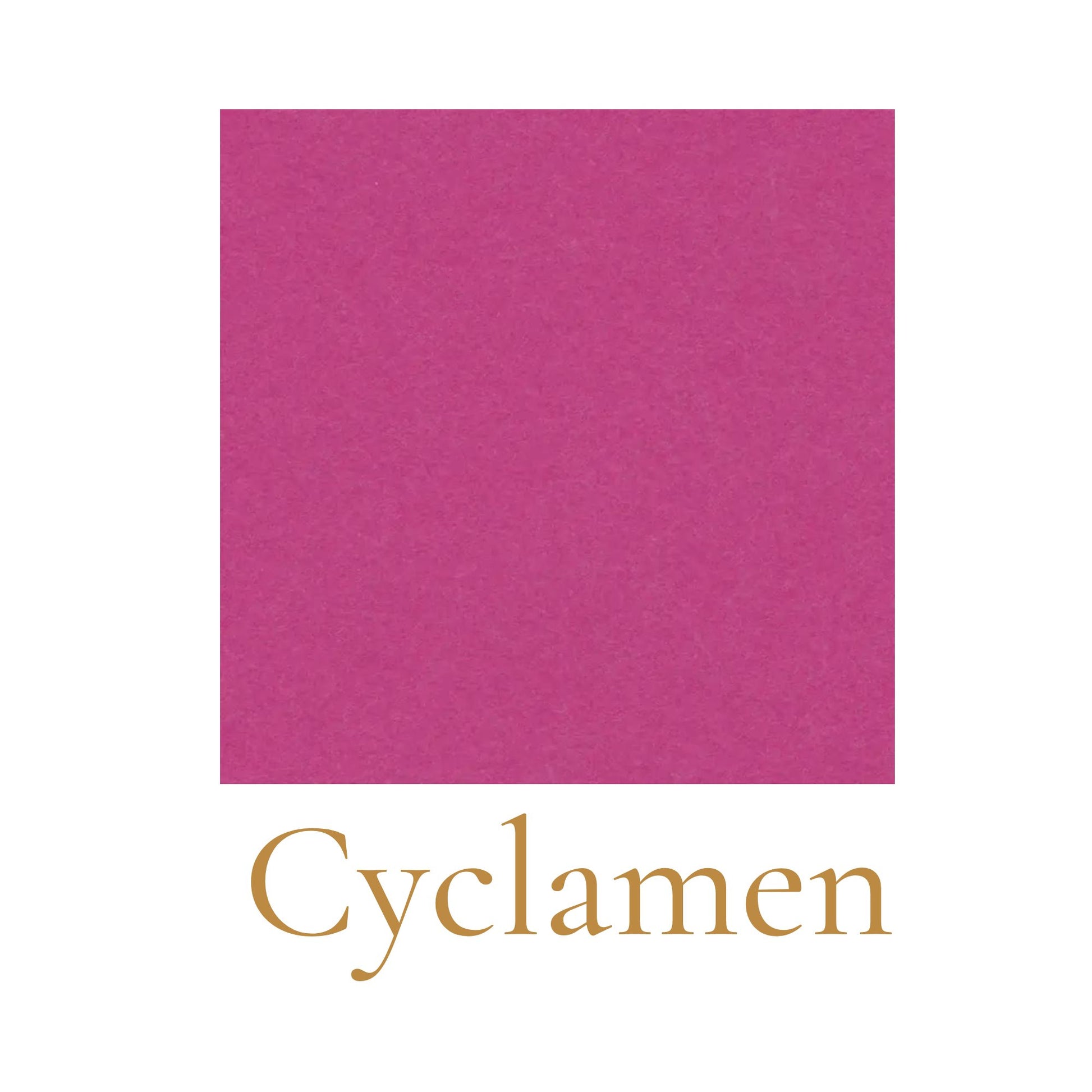 Heavyweight woodless English cardboard color swatch in cyclamen