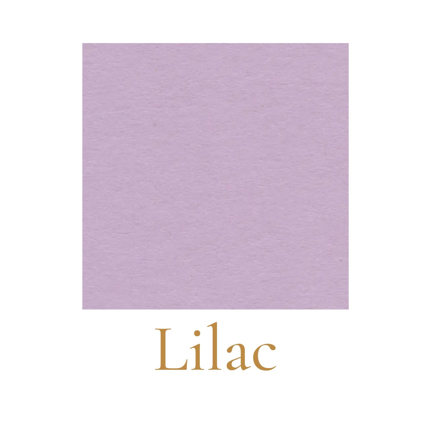 Heavyweight woodless English cardboard color swatch in lilac