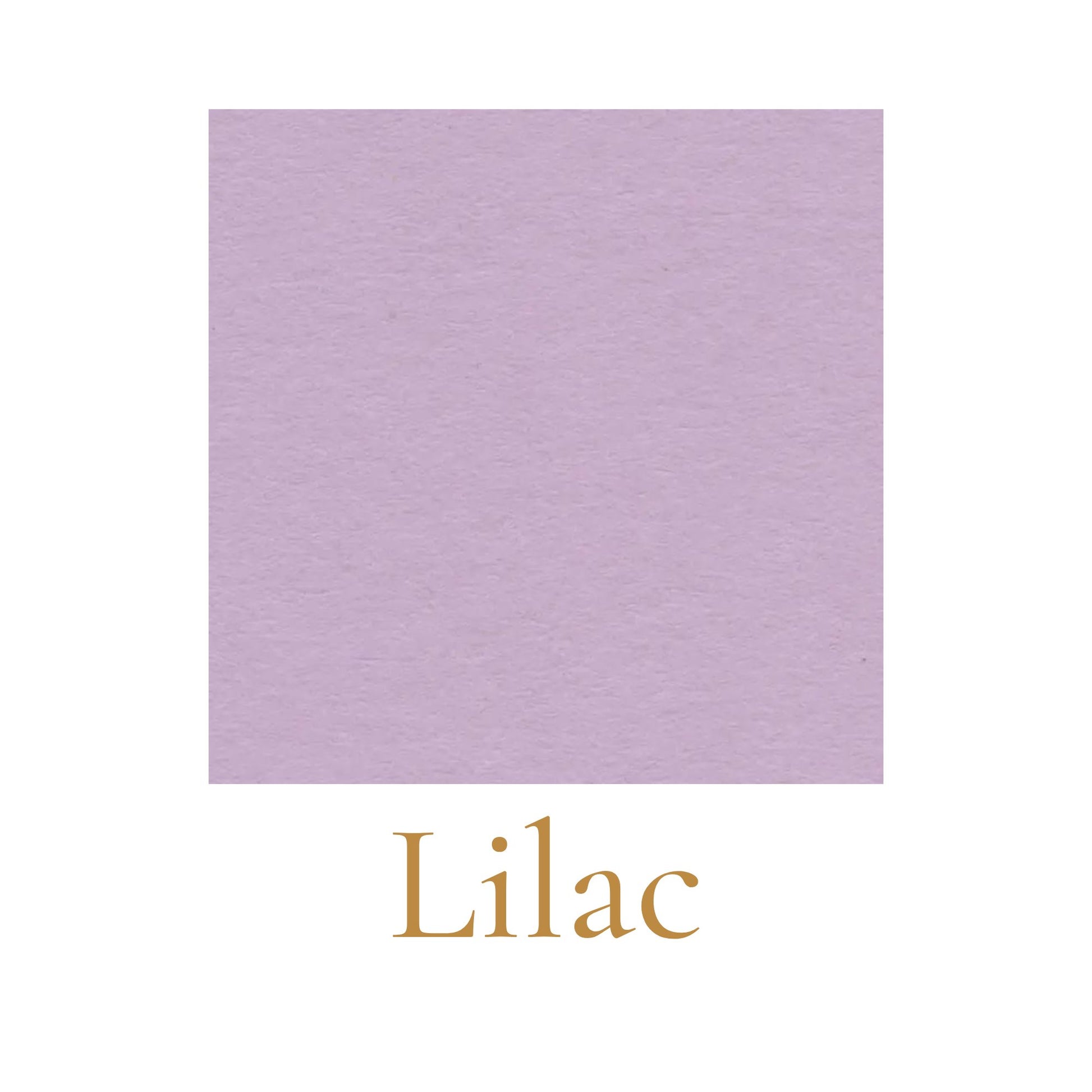Heavyweight woodless English cardboard color swatch in lilac