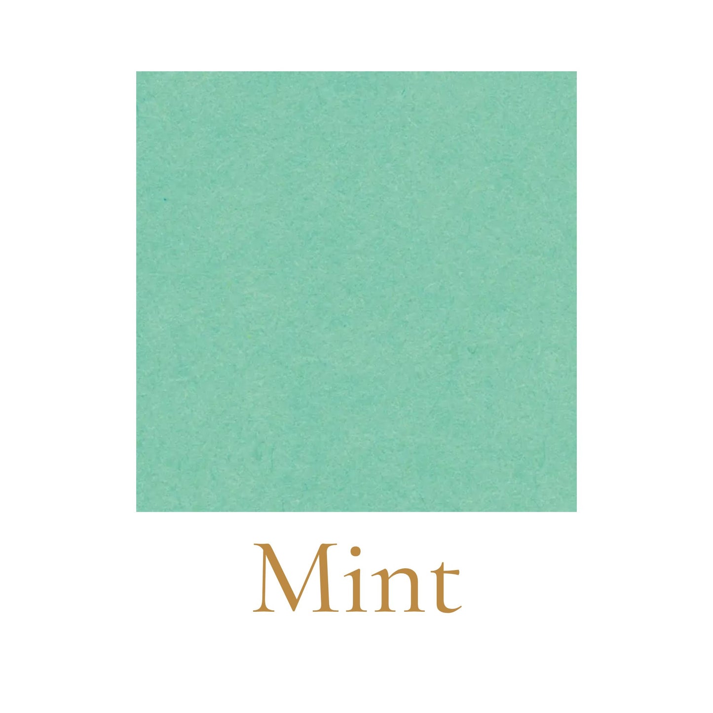 Heavyweight woodless English cardboard color swatch in mint